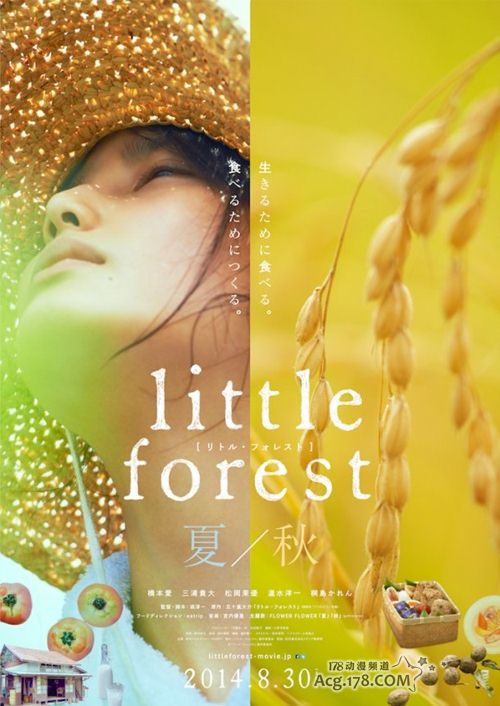 漫畫改編真人電影「Little Forest 夏秋篇」預告PV公開